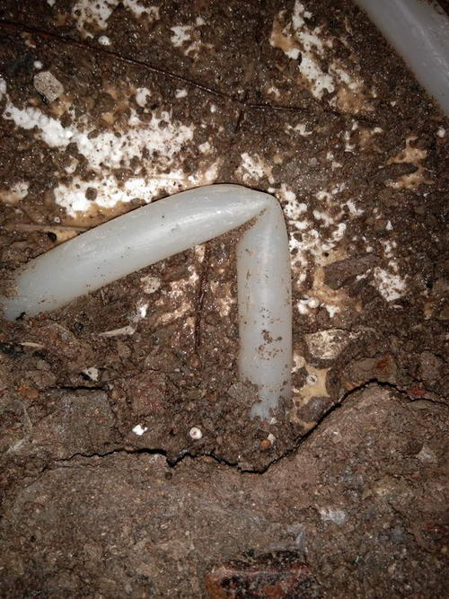 井研堵点精准查找